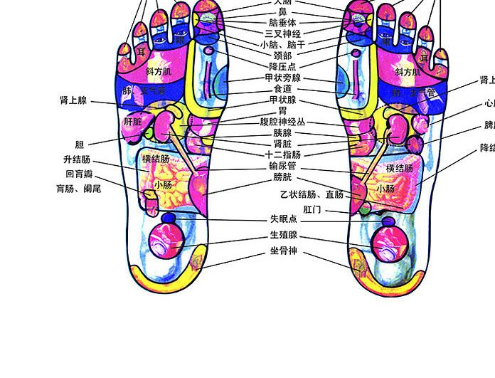 東智DZ-8815C足浴盆深桶足浴器泡腳盆洗腳盆全自動加熱示例圖3