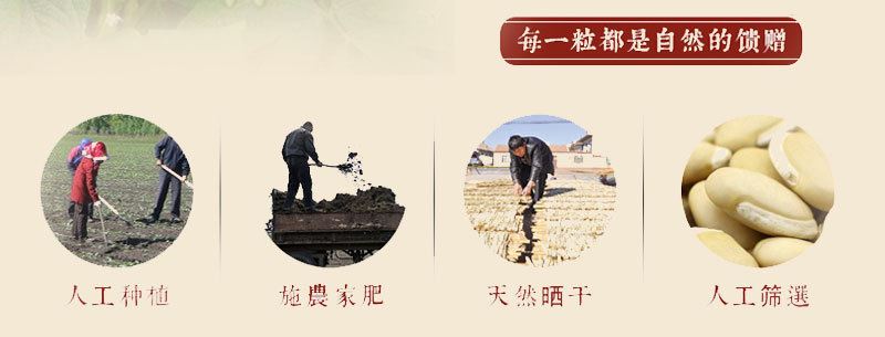 批發(fā)銷售 五谷雜糧 農(nóng)家白扁豆 大白豆 優(yōu)選白扁豆白蕓豆示例圖4