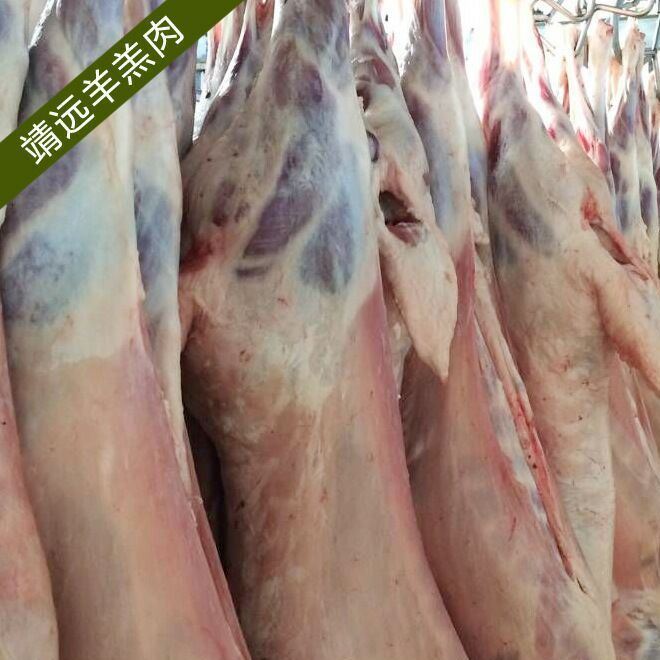 新鮮羊肉 甘肅新鮮羊肉 新鮮整羊 羊羔肉 羊肉 白條羊肉 鮮羊肉示例圖1