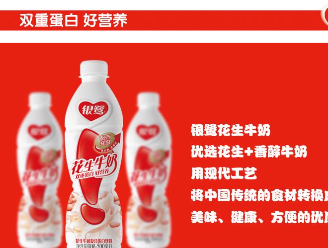 新日期银鹭花生牛奶500ml *15瓶牛奶花生饮料 复合蛋白饮料箱装示例图4