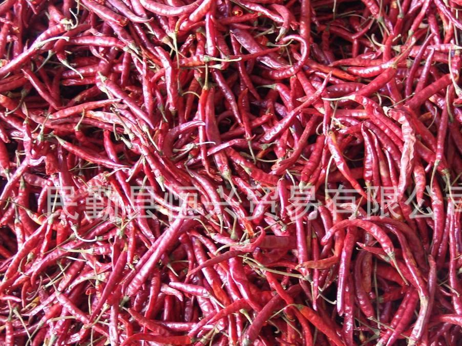 廠家供應(yīng)美國紅辣椒（Red pepper） 品質(zhì) 信賴示例圖1