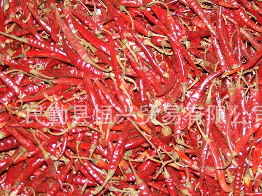 廠家供應(yīng)美國紅辣椒（Red pepper） 品質(zhì) 信賴示例圖2