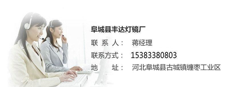 廠家批發(fā)大燈前大燈 電動車配件 四輪車led前照燈 汽車配件示例圖11