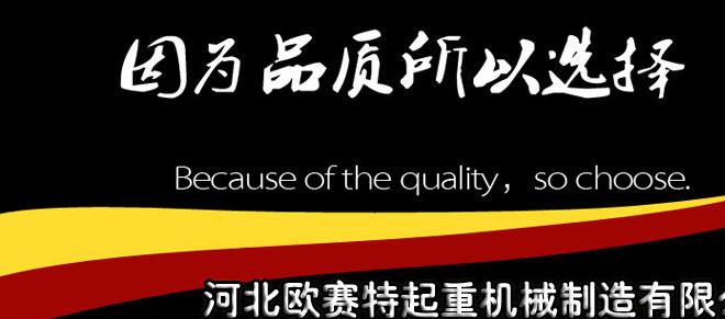 供應(yīng)多種規(guī)格起重三角支架 手拉葫蘆支架 起重伸縮式三腳架示例圖1