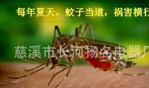 廠家生產光觸媒滅蚊燈 LED6燈捕蚊燈 家用母嬰環保型滅蚊燈示例圖1