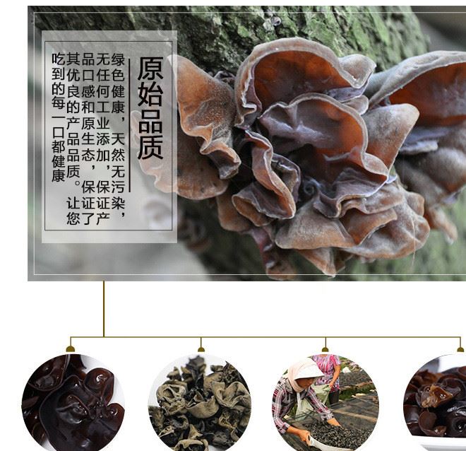 東北黑木耳特級無根免摘小碗耳盒裝100g 基地直銷大量批發干貨示例圖8