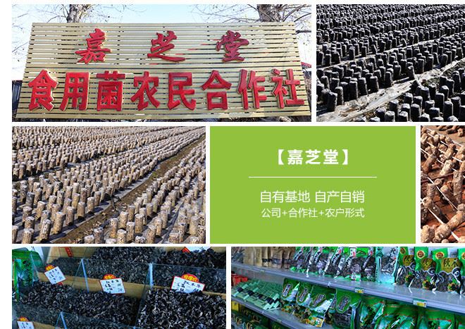 東北黑木耳特級無根免摘小碗耳盒裝100g 基地直銷大量批發干貨示例圖11