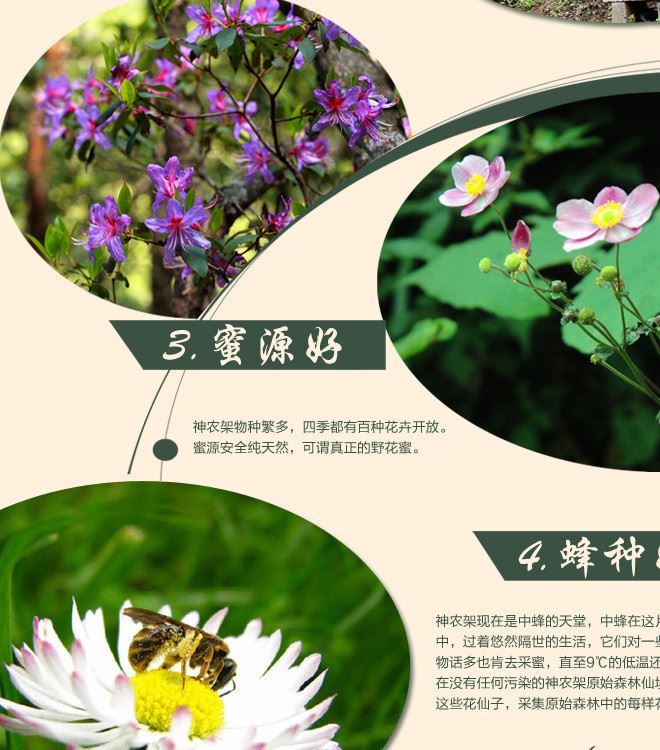 神農(nóng)架野生 農(nóng)家結(jié)晶土蜂蜜 百花蜂蜜 產(chǎn)地直銷500g示例圖3