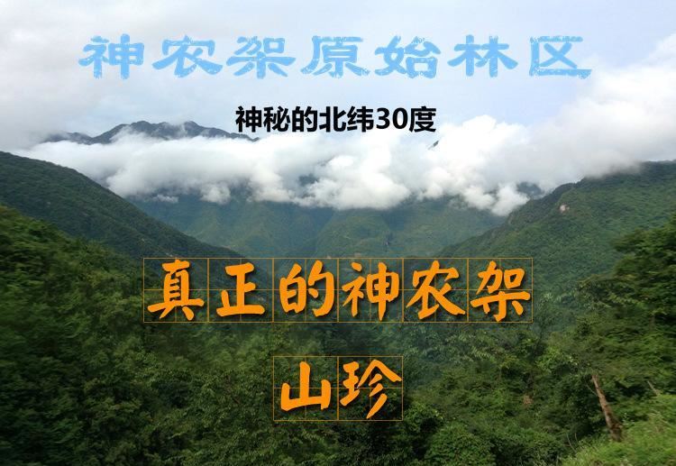 神農(nóng)架土豆干 風干土豆塊綠色無污染有機食品 廠家直銷 500g示例圖1