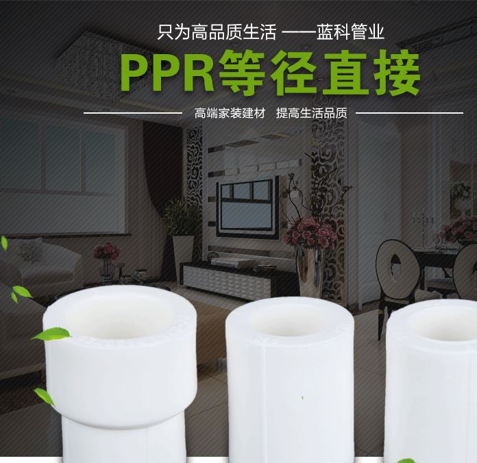 廠家供應 PPR直接 塑料一體等徑異徑直接熱熔 PPR管配件示例圖1