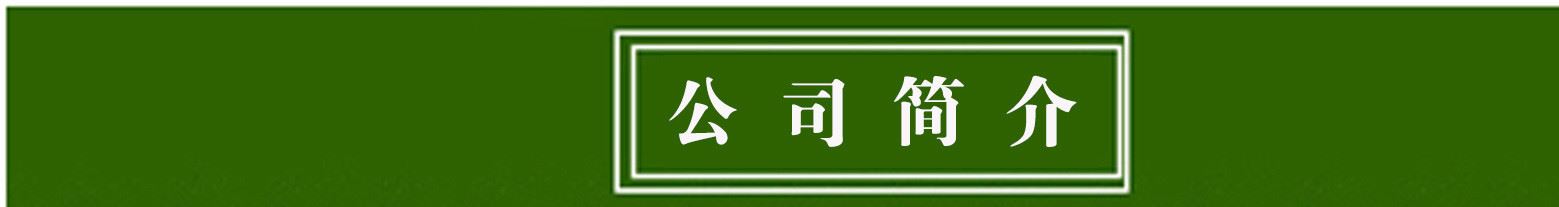 公司簡(jiǎn)介