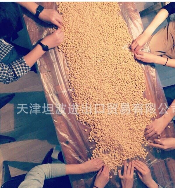 炒芝麻－天津　無雜質(zhì)　芝麻加工炒熟芝麻　質(zhì)量上乘示例圖1