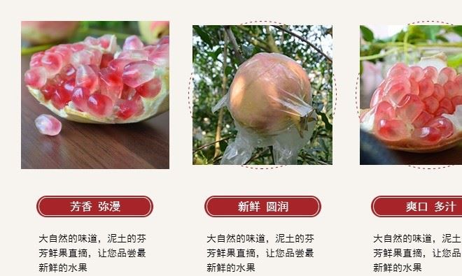 蒙自石榴云南特產甜石榴皮薄汁多籽小新鮮水果一件代發示例圖4