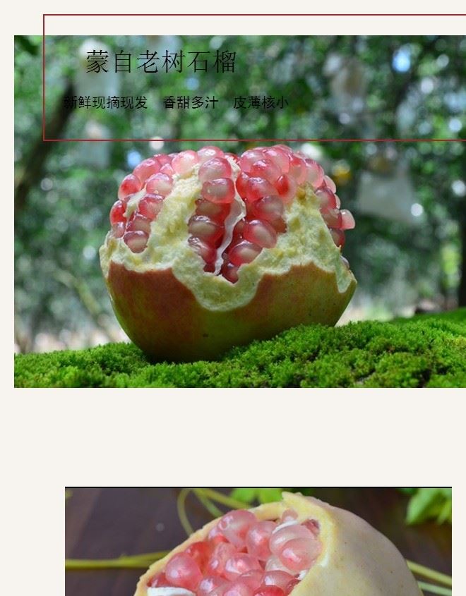 蒙自石榴云南特產甜石榴皮薄汁多籽小新鮮水果一件代發示例圖8