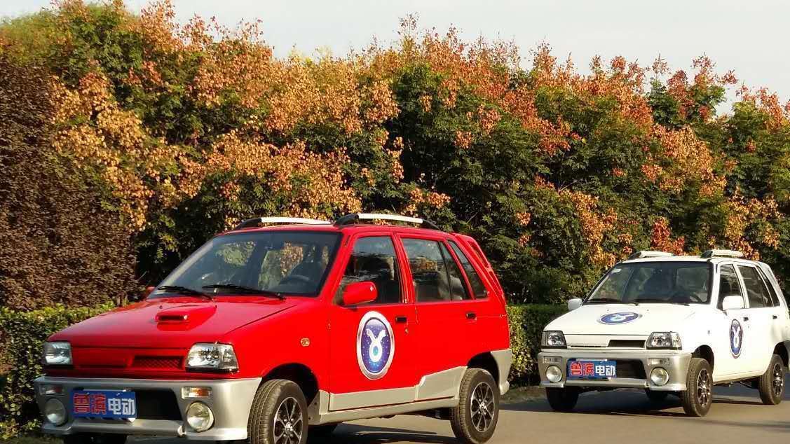 全封閉家用電動(dòng)四輪車 魯濱電動(dòng)汽車 新能源電動(dòng)汽車廠家招商示例圖1