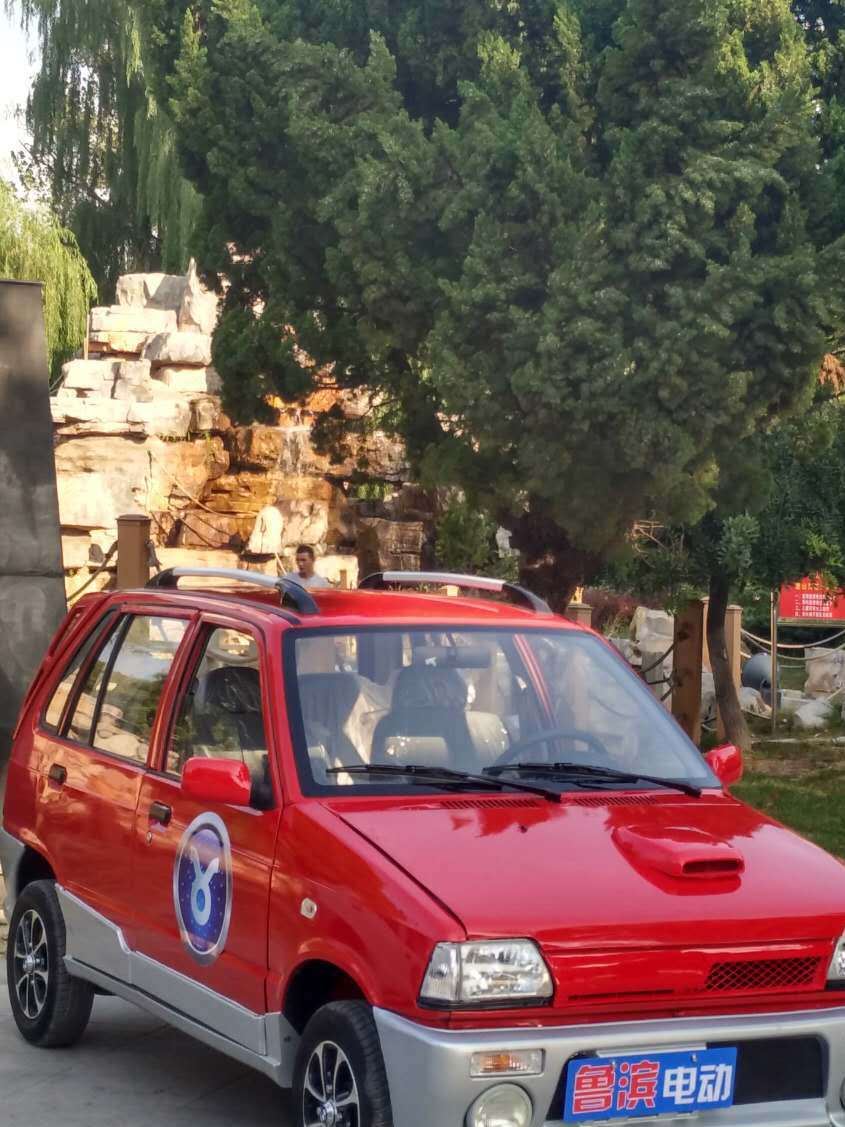 全封閉家用電動(dòng)四輪車 魯濱電動(dòng)汽車 新能源電動(dòng)汽車廠家招商示例圖2