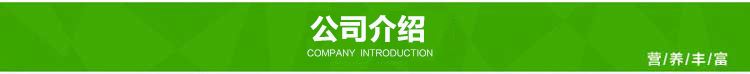 楓斗鐵皮楓斗產(chǎn)地直供 鐵皮石斛上品少渣滋補(bǔ)中藥材批發(fā) 送禮佳品示例圖7