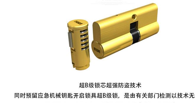 全自動指紋鎖家用防盜門刷卡WiFi遠程開鎖智能鎖電子門密碼鎖廠家示例圖30