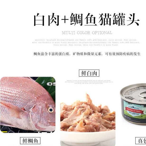 泰魚牌泰國白肉貓罐頭80g幼貓成貓貓咪(1箱起批）示例圖4