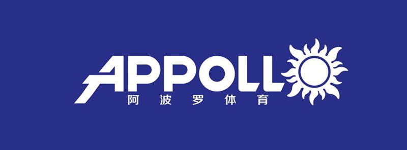 阿波羅APPOLL-002/打氣筒籃球足球排球兒童球類手泵帶氣針特價示例圖13