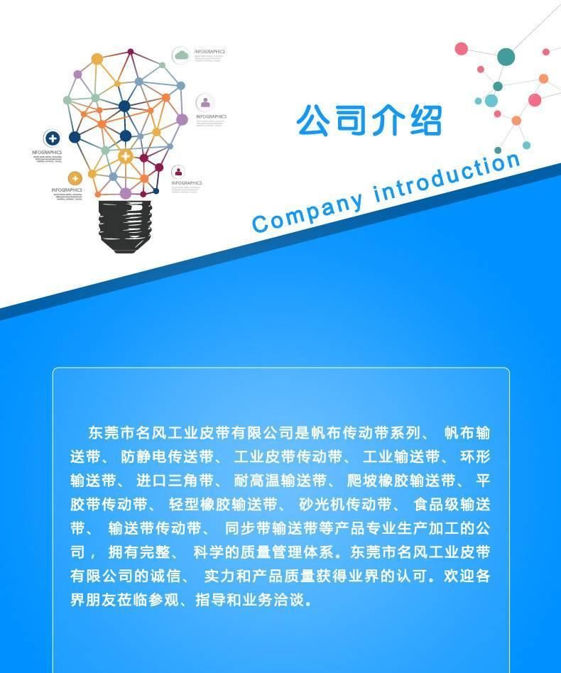 長期供應 PVC輸送帶耐高溫輸送帶定制各種規(guī)格示例圖9