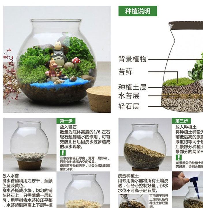 微世界 120ml按壓式噴壺瓶 苔蘚微景觀植物噴水必備工具示例圖5