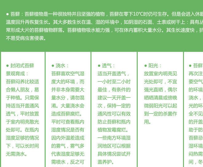 微世界 120ml按壓式噴壺瓶 苔蘚微景觀植物噴水必備工具示例圖7