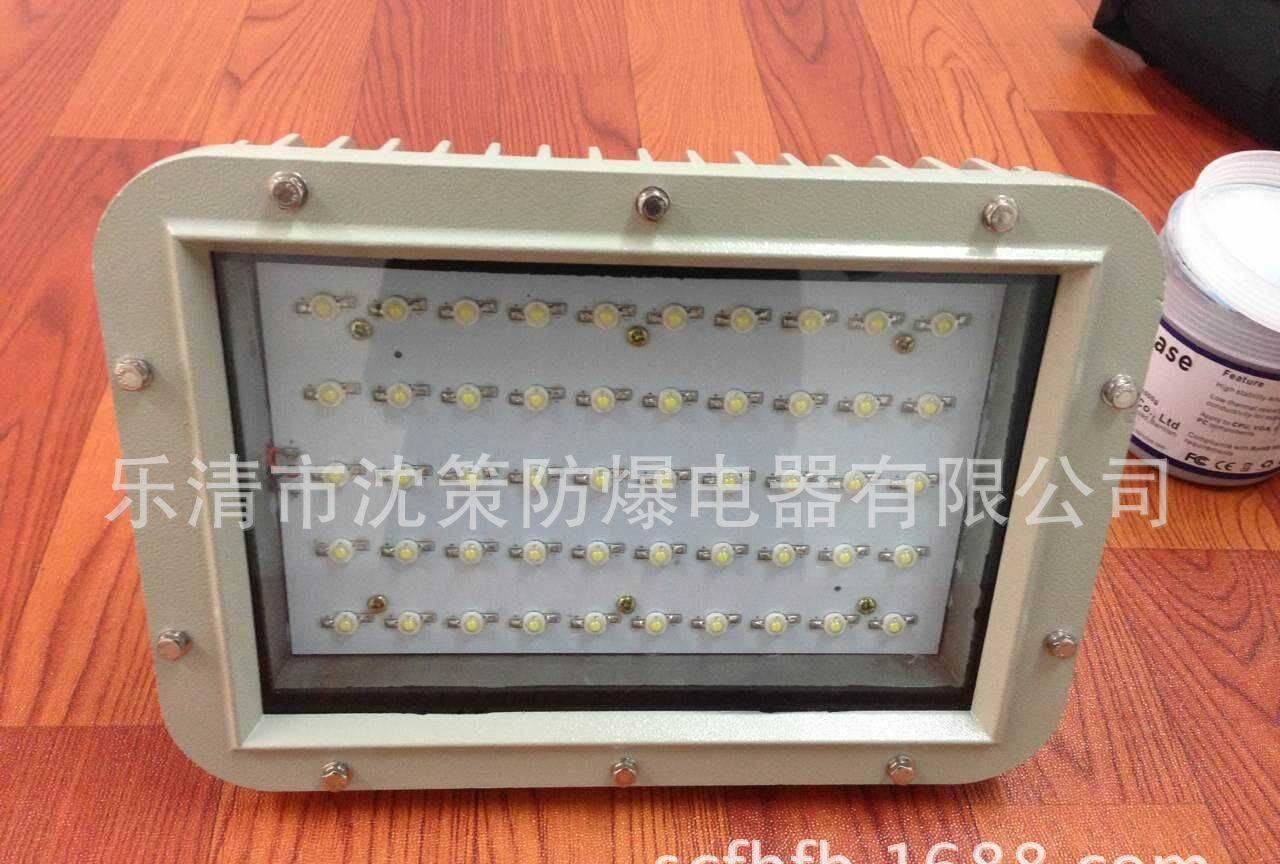 廠家直銷 30W40W50W60W防爆led泛光燈 工場專用燈 石油專用燈示例圖1