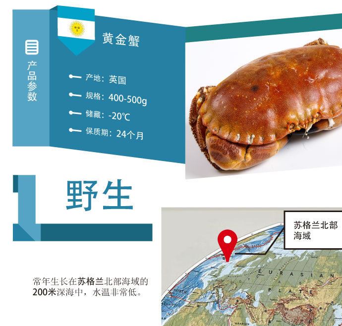 「魚佳人」黃金蟹英國面包蟹 冷凍 海鮮水產(chǎn) 蟹膏 400-600g示例圖1