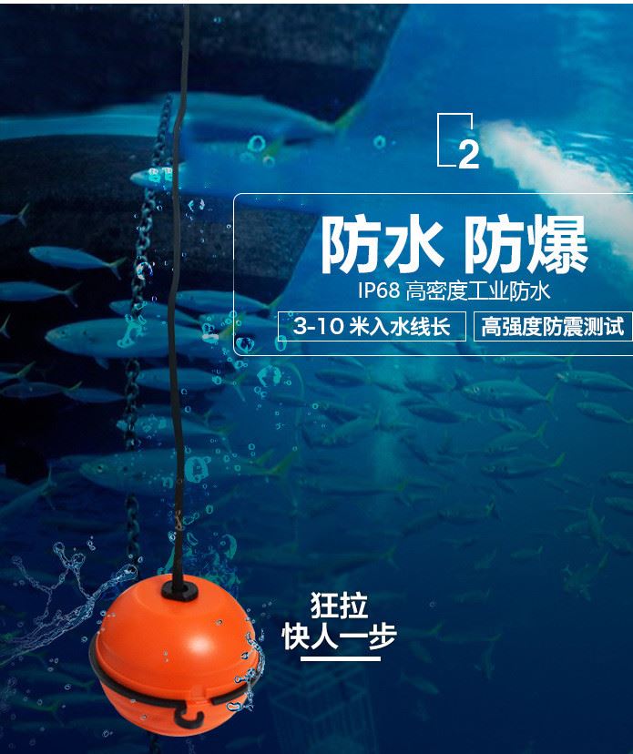 DeepWhale探魚器示例圖4