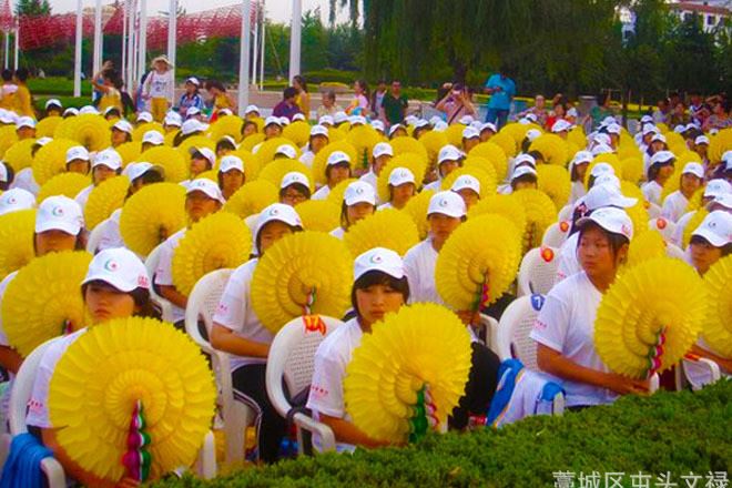 廠家批發(fā)零售五色手翻花太陽花 仿真向日葵 百變舞扇舞蹈表演道具示例圖13