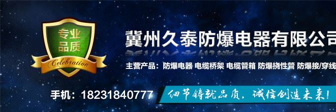 廠家批發(fā)防爆穿線盒 2 1/2寸后通穿線盒 批發(fā)久泰防爆鑄鋼穿線盒示例圖1