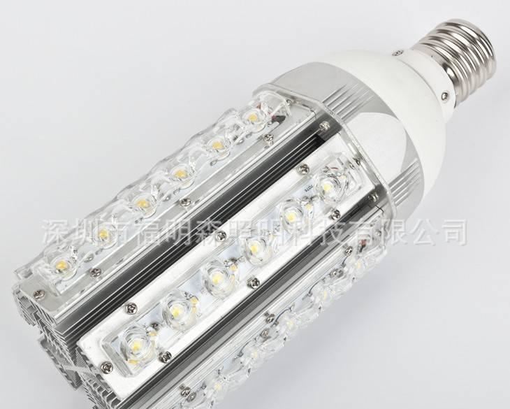 廠家直銷30WE40玉米庭院燈 LED玉米燈公園燈 LED景觀照明燈示例圖1