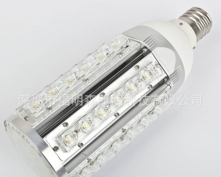 廠家直銷30WE40玉米庭院燈 LED玉米燈公園燈 LED景觀照明燈示例圖2
