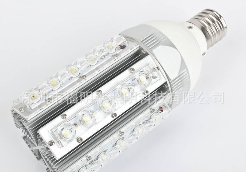 廠家直銷30WE40玉米庭院燈 LED玉米燈公園燈 LED景觀照明燈示例圖3