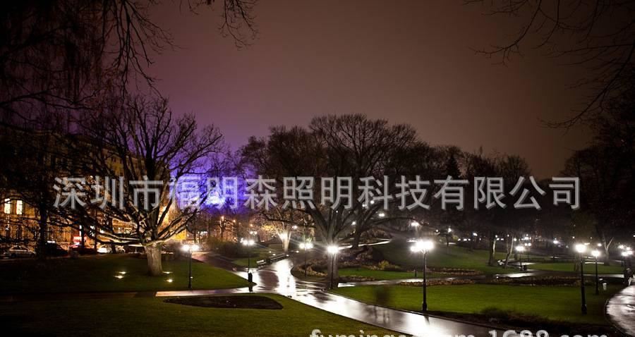 廠家直銷30WE40玉米庭院燈 LED玉米燈公園燈 LED景觀照明燈示例圖10