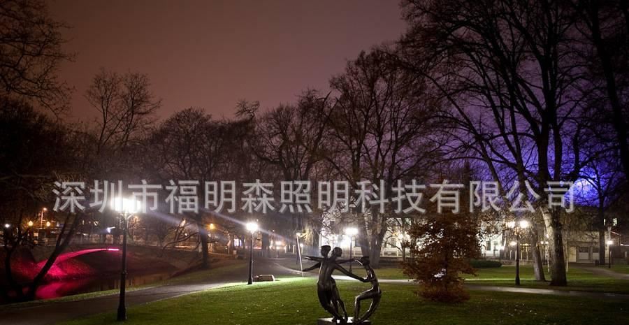 廠家直銷30WE40玉米庭院燈 LED玉米燈公園燈 LED景觀照明燈示例圖11