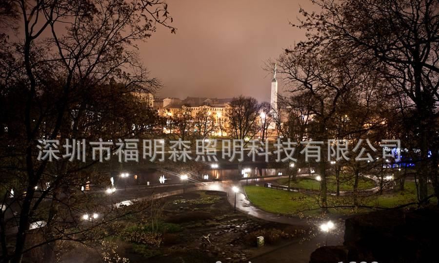 廠家直銷30WE40玉米庭院燈 LED玉米燈公園燈 LED景觀照明燈示例圖12