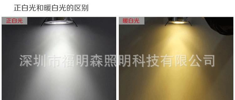 廠家直銷30WE40玉米庭院燈 LED玉米燈公園燈 LED景觀照明燈示例圖14