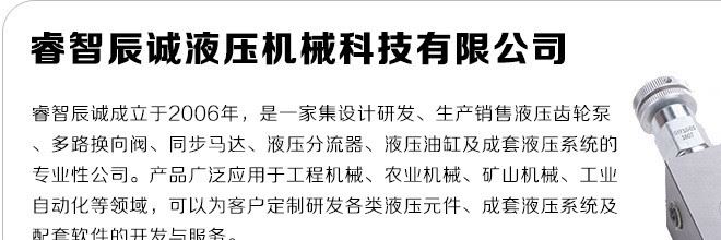 厂家直销标准油路块 油路板 阀块 溢流阀 16通径 25通径 可定制示例图2