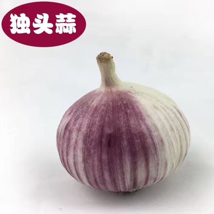 云南香格里拉特產(chǎn)獨(dú)頭黑蒜批發(fā) 紫皮蒜食品500g紫皮獨(dú)頭蒜示例圖12