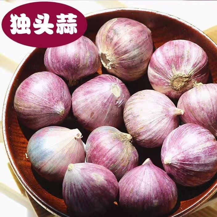 云南香格里拉特產(chǎn)獨(dú)頭黑蒜批發(fā) 紫皮蒜食品500g紫皮獨(dú)頭蒜示例圖14