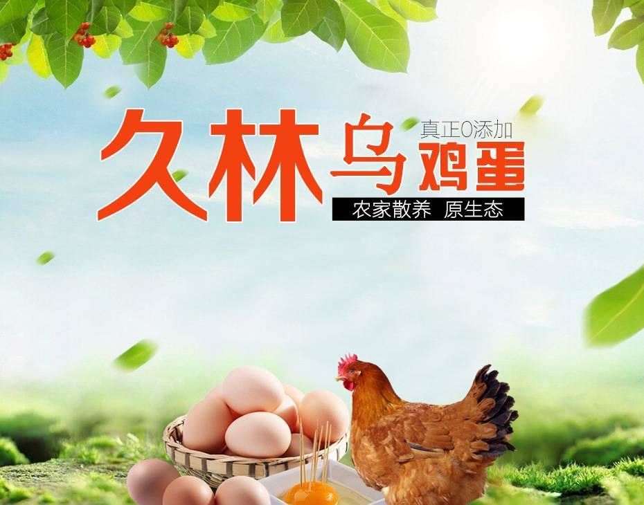 久林烏雞蛋 好農(nóng)精品烏雞蛋 健康營養(yǎng)雞蛋示例圖1