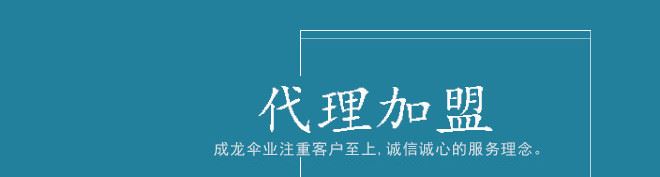 现货批发创意C型免持式可站立双层汽车反向伞 广告logo定制雨伞示例图24