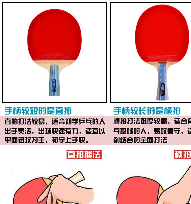 乒乓球拍正品乒乓球成品拍雙拍2只初學兵乓球拍直拍橫拍ppqp示例圖6