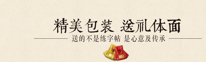 练字帖专用笔芯 自动褪色 字迹消失 套装版 握笔器 笔芯 厂家直销示例图13