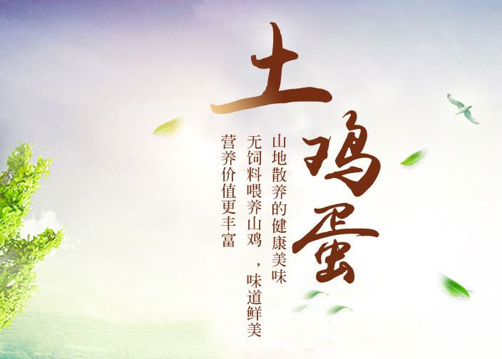 鑫隆林木農(nóng)場現(xiàn)貨供應(yīng)山林生態(tài)散養(yǎng)土雞蛋營養(yǎng)豐富草雞蛋月子蛋示例圖1