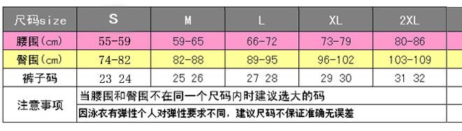 2017新款 艷姿夢泳褲204 高腰泳褲女 三角泳褲 打底褲 游泳褲示例圖8