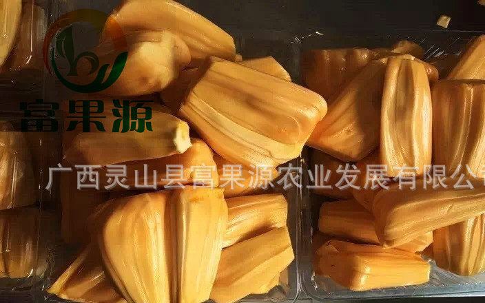 包邮热销推荐 红肉菠萝苗 高品质优质果苗 质优价廉示例图2