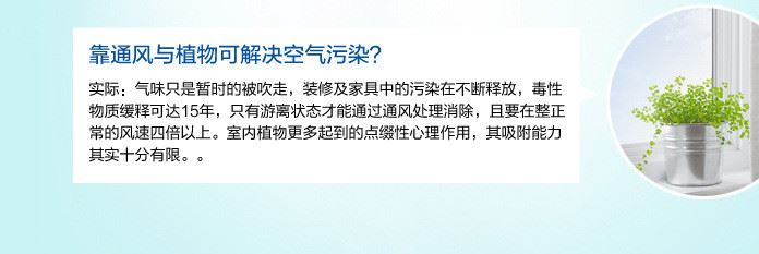 噴霧除味劑 植物除臭劑 衛(wèi)生間汽車新房裝修除異味 母嬰寵物除味示例圖44